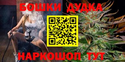крисы Бузулук