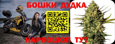 крисы Бузулук