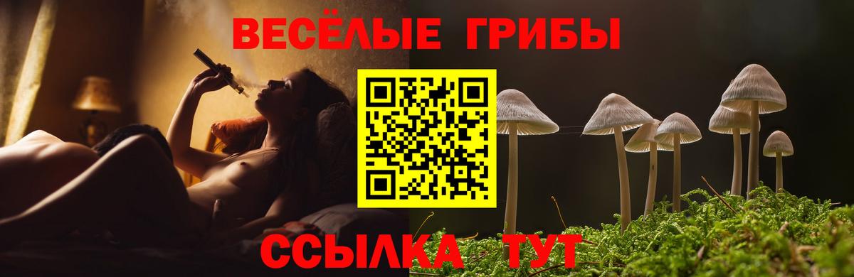 Псилоцибиновые грибы Cubensis  Вход с VPN  Липецк 